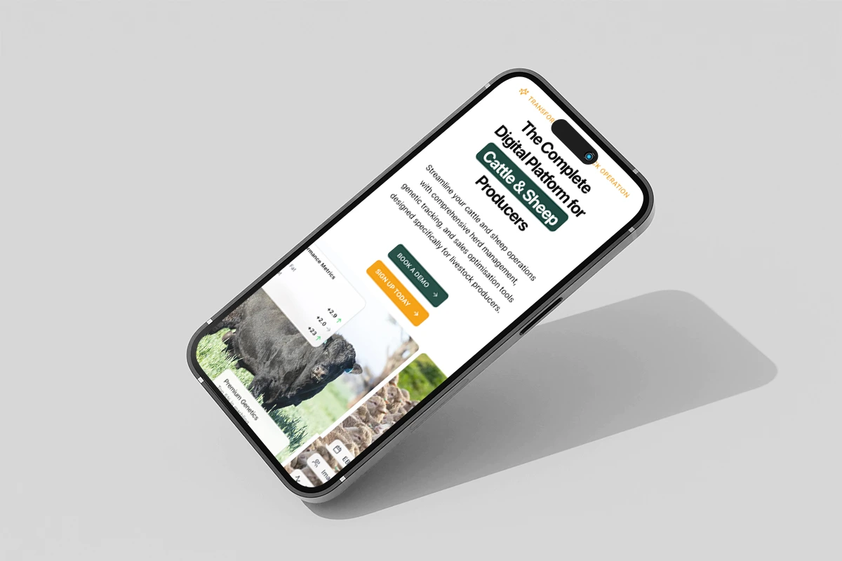 Frisbee app on mobile