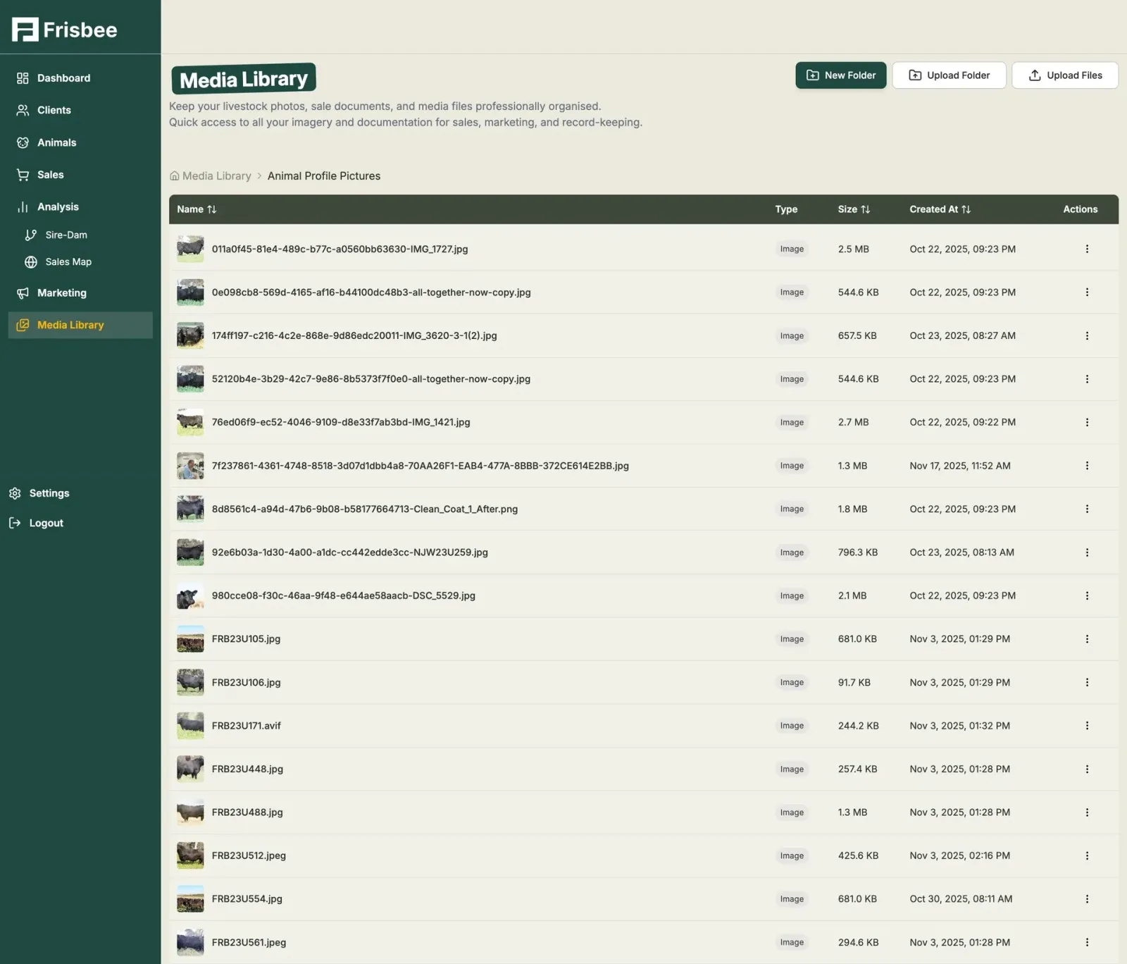 Data Storage — screenshot of the Frisbee platform