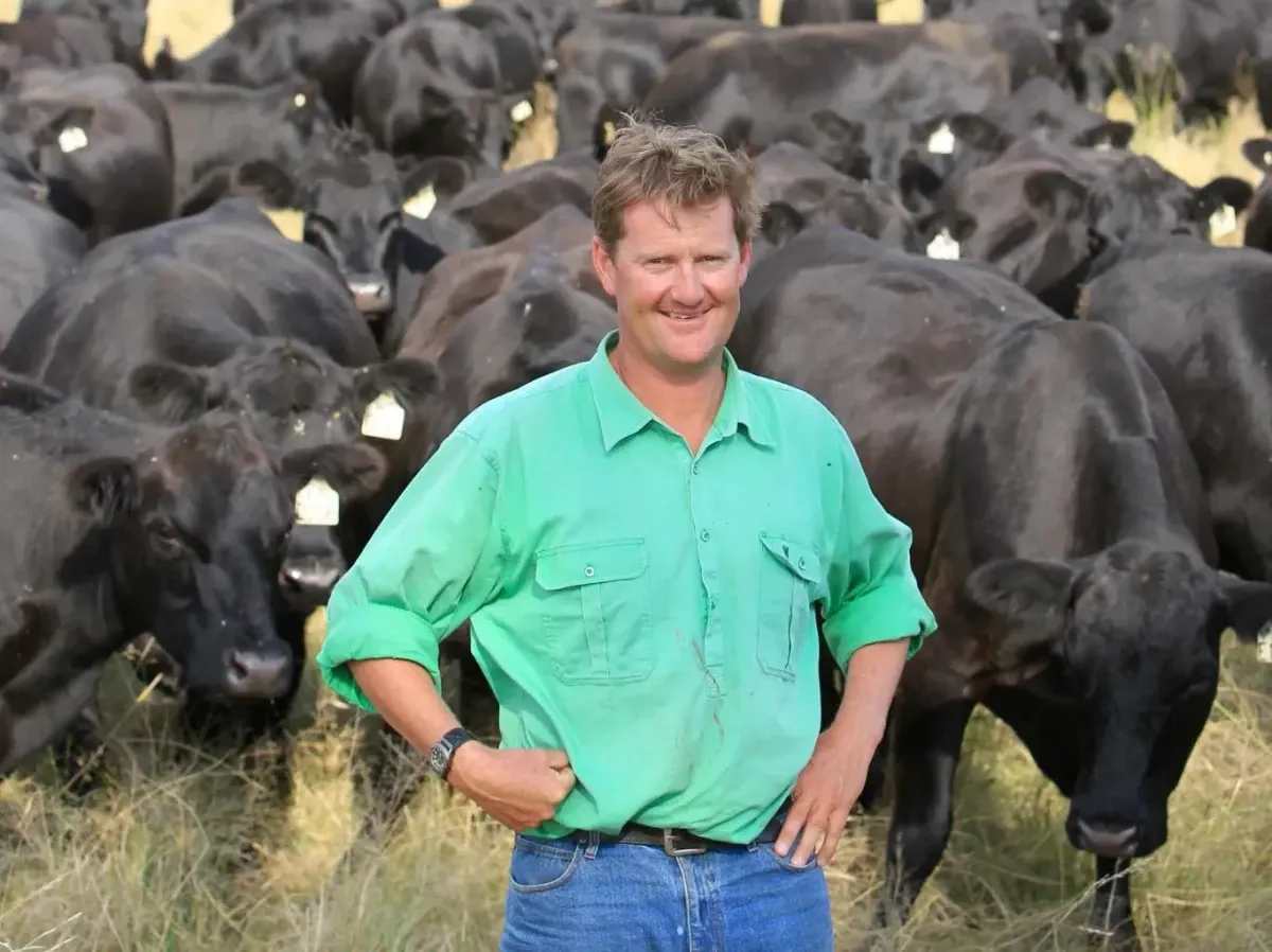 Portrait of Ross Thompson, Chief Advisor at Frisbee