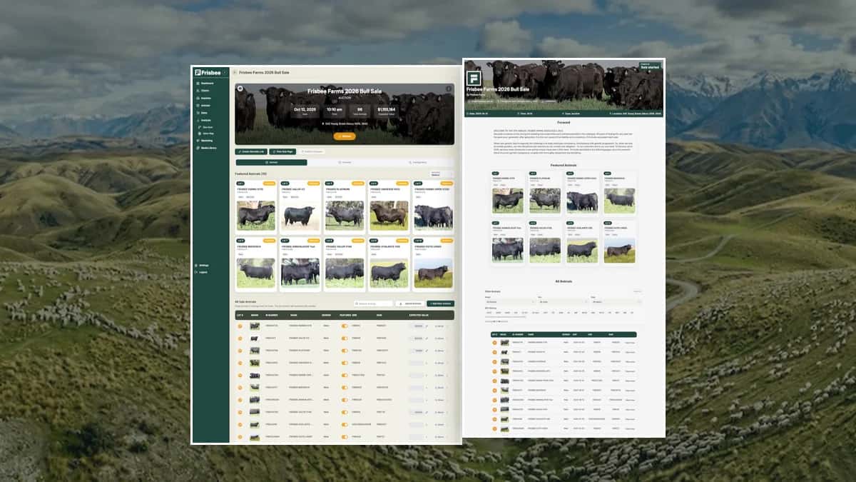 Frisbee App Sales CRM Page