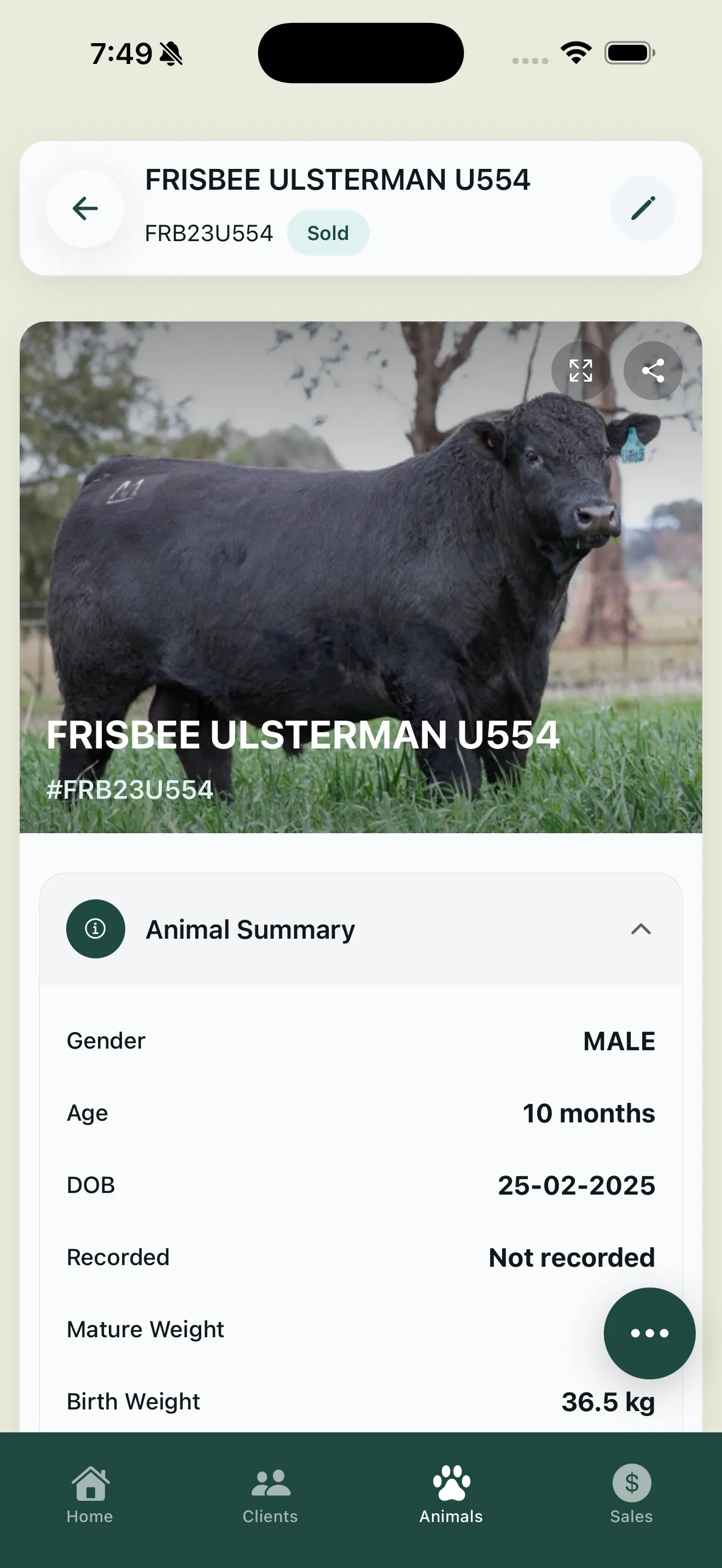 Frisbee livestock management app running on smartphone in the field