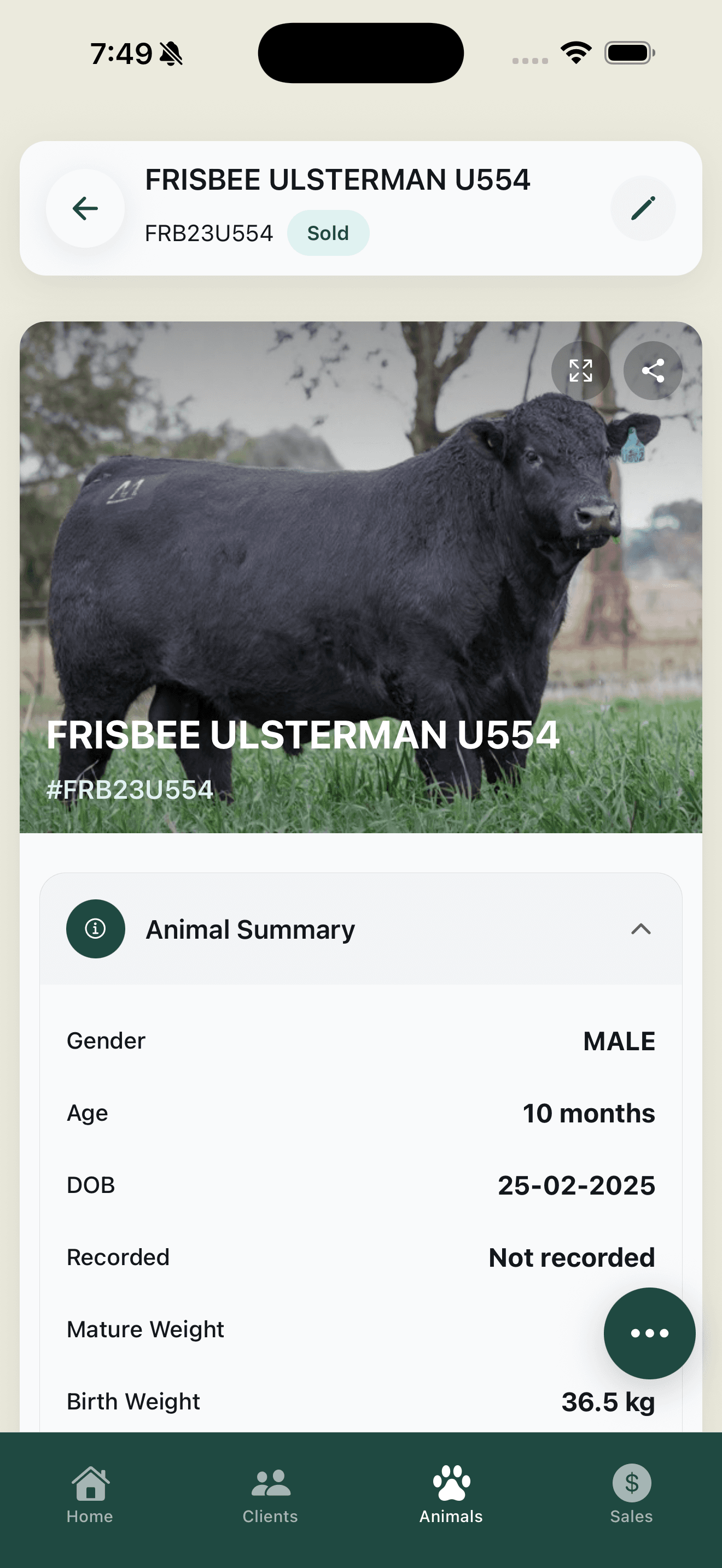 Frisbee livestock management app running on smartphone in the field