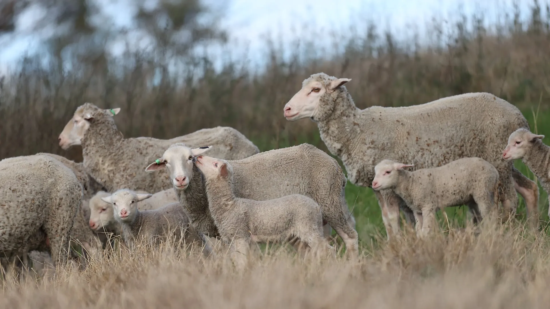 centralised data storage dashboard